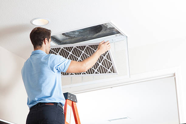 Best Ductless HVAC Repair  in Lely, FL
